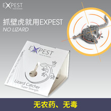 驱除壁虎 壁虎药驱壁虎神器家用室内驱虫驱除壁虎神器防去祛除驱逐捕捉贴 贴墙款9小片装