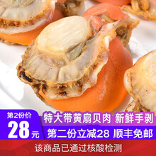 【第二份5折】渔哥戏鱼 扇贝肉1000g 新鲜冷冻大扇贝2斤 生鲜贝类 蒜蓉粉丝扇贝 海鲜水产 扇贝肉1000g