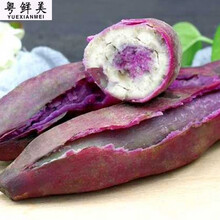 老农夫 【高州坡地番薯】新鲜冰淇淋红薯粉糯香甜板栗花心薯粉番薯一点红 5斤小薯冰淇淋【净重5斤】