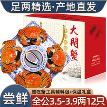 【12只装】大闸蟹全公母六月黄螃蟹镇海鲜水产生鲜批发 全公蟹：3.5-3.9两(12只)