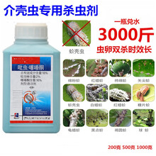 蚧壳虫专用药蚧必治介壳虫果树多肉花卉通用吡虫噻嗪酮农药杀虫剂 200g