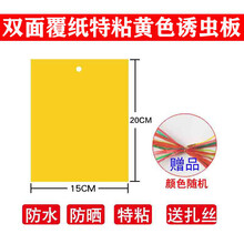 溪沫 双面加厚特粘诱虫蓝板粘虫板黄板果园茶园大棚家用等灭多种小飞虫 60张双面覆纸加厚特粘黄色15x20