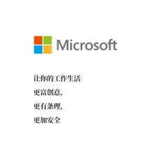 HJSOFT Visual Studio Professional 2019