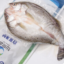 仙泉湖三去白蕉海鲈鱼 400g/条净膛冷冻刺少肉厚特产海鲜水产