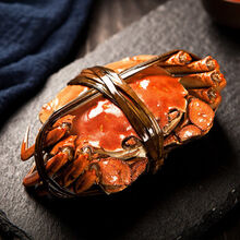 大闸蟹鲜活现货螃蟹大公母蟹苏州 礼盒装 特惠款公母对半3-2.5两8只