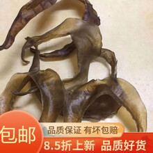 甲鱼 裙边 鳖边 一斤40个 干净 酒店 饭店 用品 质量好 营养丰富 250克装 水鱼边一斤40个左右