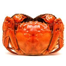 【活蟹】蟹满堂大闸蟹 精品六月黄  现捕现发 海鲜水产礼盒装 2.5-2.8两 12只装 六月黄