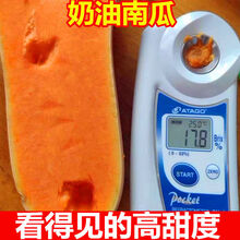 【超甜】现摘正宗奶油南瓜小南瓜老南瓜批发粉糯香甜孕妇宝宝辅食 正宗奶油南瓜 带箱10斤装【活动款中甜】