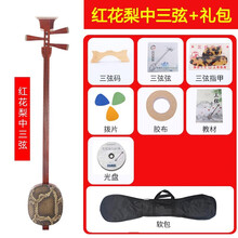 红木三弦乐器鸡翅酸枝黑檀大三弦紫檀专业评弹中三弦小三弦琴 红花梨中款(礼包款)