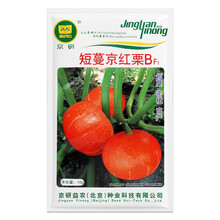 北京农科院京研短蔓京红栗B南瓜种子红皮板栗贝贝四季蔬菜籽优质早熟