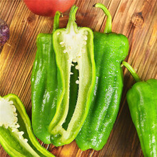 寿禾 薄皮辣椒种子特辣蔬菜种籽大果型皱皮青椒四季阳台盆栽菜籽 绿皱101泡椒种子20粒/袋