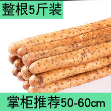 正宗铁棍山药粉糯5斤/3斤/1斤小白嘴山药焦作淮山药新鲜蔬菜河南 【掌柜】5斤铁棍山药