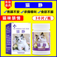 猫咪禁情粉母猫静情猫咪发禁情粉猫情静猫咪禁情片绝情粉发情[预售]