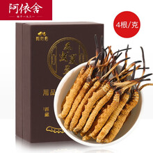阿依舍 冬虫夏草 4根/g1克装 高海拔新干虫草