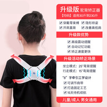 揹背佳驼背矫正带挺背矫正器咪咪兔子儿童驼背青少年学生智能矫姿神器改善坐姿防驼背背带矫姿带直背 【单件】升级款 智能高配震感(儿童/通用)店长推荐 均码