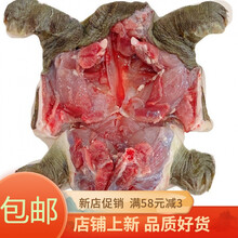 【冷链运输】甲鱼批发现杀现发外塘生态老鳖食用水鱼王八真空包装新鲜去皮去油彼尔安佳 净重【1.8-2斤】大公甲鱼一只