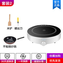 朗圭圆形电磁炉家用节能小型炒菜火锅多功能一体便捷迷你电池炉全套装 套餐2