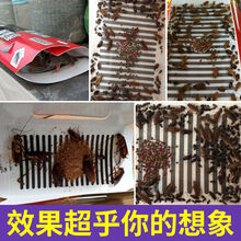 【电子发票】蟑螂屋捕捉器强力除灭蟑螂家用杀蟑粘蟑贴厨房蟑螂克星窝端支持企业采购 2张超粘蟑螂屋【带引诱剂2包】