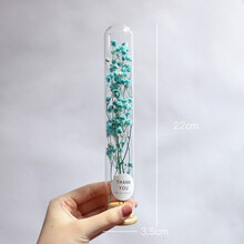 2021新款玻璃试管干花满天星永生花摆件尤加利叶家居装饰标本干花客厅摆设 蓝满天星 试管玻璃 干花包