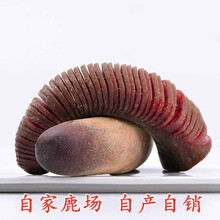 【顺丰】鹿茸整根新鲜鹿茸整只100g双参鹿血鹿茸泡酒药材 250g整茸头