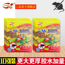 二仙粘鼠板捕鼠器 灭大老鼠神器 加大加厚家用老鼠夹耗子药粘鼠胶 A8  10张