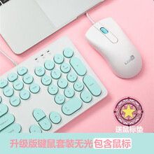 雷迪凯  机械手感键盘可爱女生 键盘鼠标有线套装 台式笔记本电脑办公键鼠套装 USB复古朋克键盘 1900套装-薄荷绿