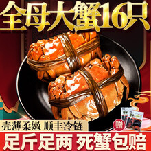 【活蟹】臻佳肴大闸蟹 六月黄全母蟹  鲜活螃蟹现货生鲜河蟹礼盒 公母蟹3.0-3.3两 8只装