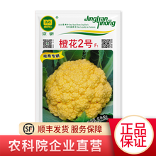 北京农科院京研橙色高出芽率高产抗病西兰花花椰菜花蔬菜种子大棚阳台盆栽四季易种青菜花西蓝花松花菜种 橙花2号橙菜花1克1袋（约300粒）