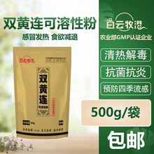 白云牧港 双黄连粉兽用兽药 猪药牛羊畜禽药辛凉解表 清热解毒 感冒发热 500g/5袋