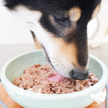 天弗 白猪商店ziwi滋益无谷狗罐头羊牛肉鸡主食罐170/390g 牛肉 390g 6个月以上