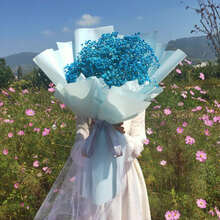 轻奢芊阙超大束满天星干花花束松女生闺蜜母情人节毕业生日礼物礼盒表白 D09蓝色长纱（梦幻精灵） LED彩等+贺卡