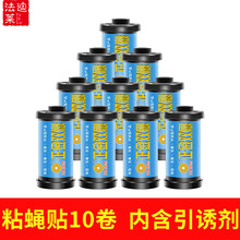 苍蝇贴条粘蝇纸强力灭蝇捕蝇神器孕婴家用灭蚊沾蝇子板彩带条一扫光 【55cm】10卷加宽版【带防风轴】