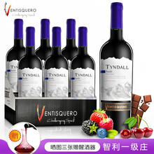 【冰川酒庄旗舰店】(Ventisquero)智利原瓶进口红酒整箱 探索者美乐（梅洛）干型 750ml*6支