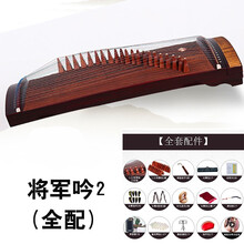 古筝琴考级演奏便携小古筝儿童初学练习21弦90cm迷你古筝小筝 将军吟2【全配】