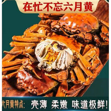 活鲜【冷链运输】大闸蟹鲜活 六月黄螃蟹公母蟹缺重包赔 礼盒装黎麦跃堡 (3.0-2.5两)8只