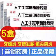 双药人工牛黄甲硝唑胶囊24粒牙髓炎牙槽发脓急性智齿冠周炎牙根尖周炎牙疼牙痛牛黄甲硝锉挫甲硝唑消炎药 5盒】成人牙齿痛发炎牙髓炎烂牙齿消炎药