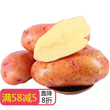 2021年云南新鲜现挖红皮土豆黄心土豆大洋芋马铃薯老品种农家自种 10斤带箱