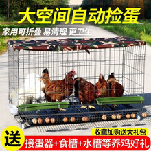 大型鸡笼特大号折叠养殖笼铁丝笼加粗鸡笼子鸡舍家用自动滚蛋鸡窝 套餐一（食槽+水槽+挂钩+托盘） 加粗70*50*64无蛋托（无轮）