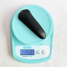 【鲜寻家】鹿尾巴 马鹿尾巴干30-70克可选 鹿尾巴精 整只壮鹿尾吉林双阳 壮鹿尾41.2克/只