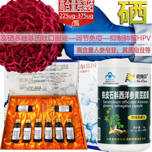 正宗铁皮石斛西洋参黄芪颗粒粉胶囊人参皂苷rh2rg3成人中青年成年人中老年老人增加增强免疫力保健品 +海福康之侣富硒康多糖补晒口服液放化疗细胞营养液 男女亚健康提升增强体质抵抗力送病人手术后礼物礼品