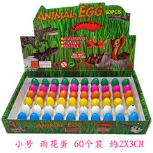 恐龙蛋玩具可孵化 儿童泡水恐龙蛋孵化蛋玩具吸水膨胀变形大中小可孵化长大早教模型 小号雨花蛋60个装2*3cm
