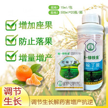 根-绿核金 1.2%吲哚丁酸三七葡萄甘蔗辣椒花生增产壮根生长调节剂 15ml