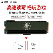 影驰名人堂HOF PRO M.2 500G1TB2TB SSD 4.0 NVME 台式机固态硬盘 影驰SSD 擎256 M.2 NVME*256G