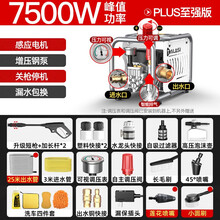 塔拉斯 家用商用洗车机  220v高压清洗机 多功能便携式洗车神器刷车工具 全自动汽车高压水枪 PLUS至强调压【28米管+漏保+莲花喷嘴+圆刷】