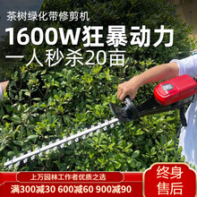 TOMSPOWER 充电式锂电直流花草修剪机电动园林绿化绿篱机修枝机剪茶篱笆树 双刃专业绿化款款+36V8A锂电池续航2-3小时