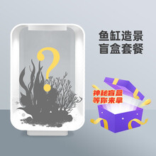 花小鱼 新款桌面鱼缸智能斗鱼缸玻璃亚克力小型生态金鱼缸超白小鱼缸养鱼缸家用办公室彩灯中小型生态鱼缸 盲盒缸景套餐（含缸）