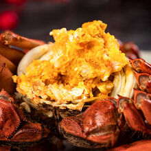 【活蟹】大闸蟹特大鲜活淡水公母蟹六月黄大螃蟹海鲜水产蟹类 普米加罗 六月黄(2.8-3.3两)8只