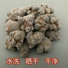 康中尊 云南文山三七二十头500g四十头30-头田七三七块一斤 【精选无剪口】33个500克