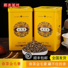 天赐盛茗茶叶 2021春茶英红九号金毛豪英德红茶一芽一叶英雄9号功夫红茶叶500克 两套更实惠 单件品鉴装