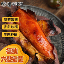 （现挖/顺丰）福建六鳌蜜薯 新鲜糖心红心地瓜农家烤地瓜软糯沙地流油香烤番薯 10斤 精选大果